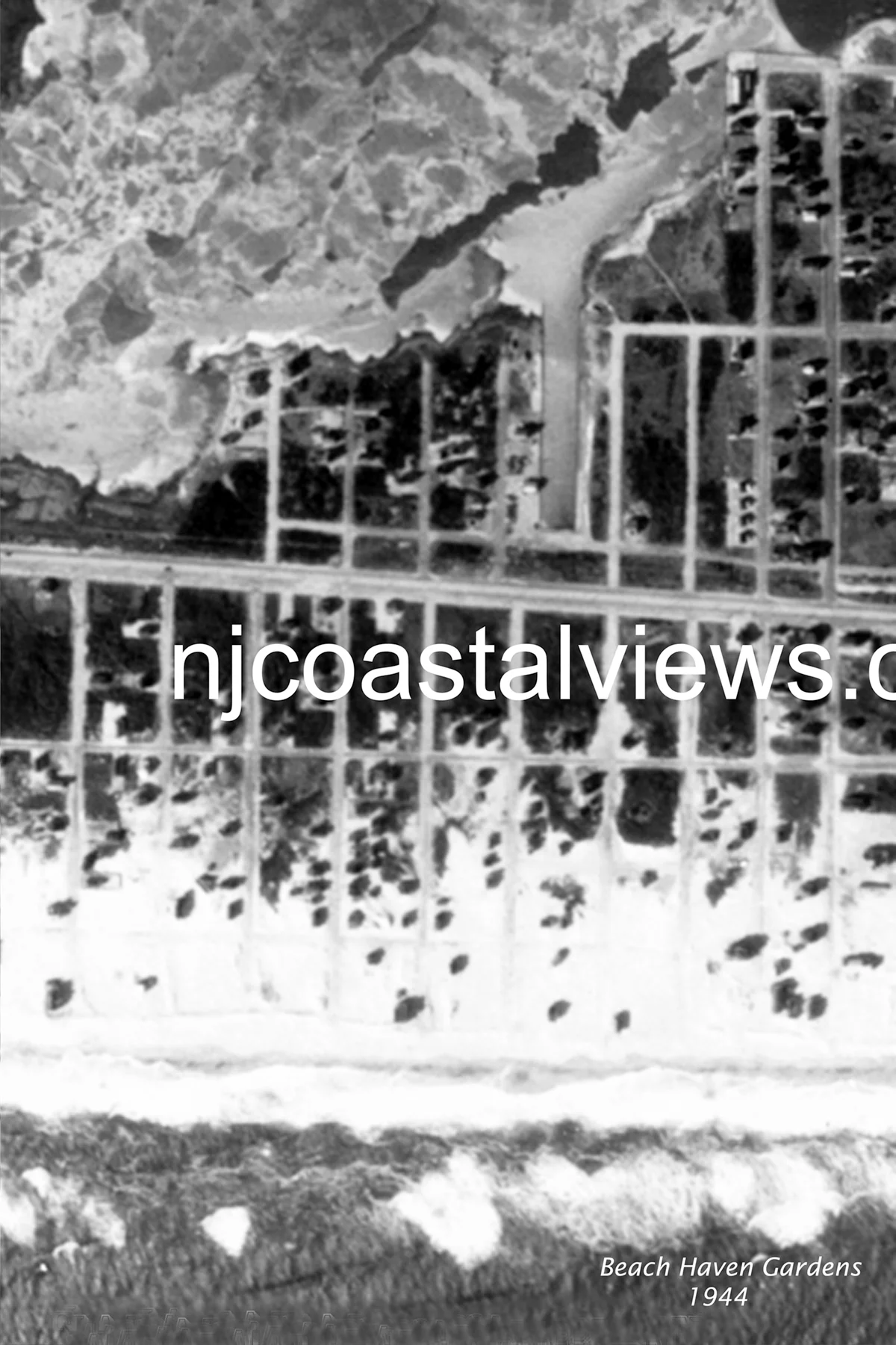 Beach Haven Gardens 1944